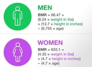 What is BMR | How to check your BMR