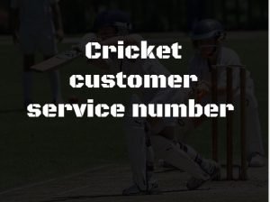 Cricket customer service number